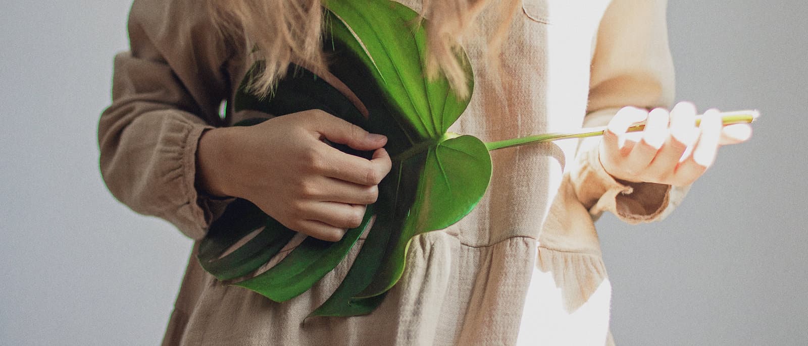 Soft light and a monstera leaf held against a ruffled blouse